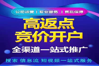 百度优化推广案例剖析：某电商平台的成功之路